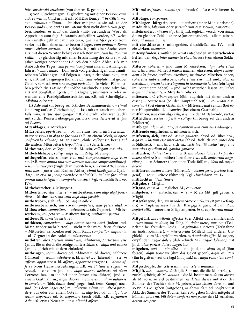 Seite 61
