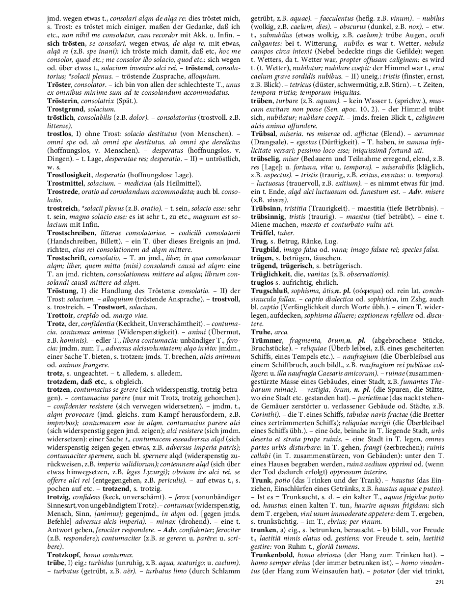 Seite 291