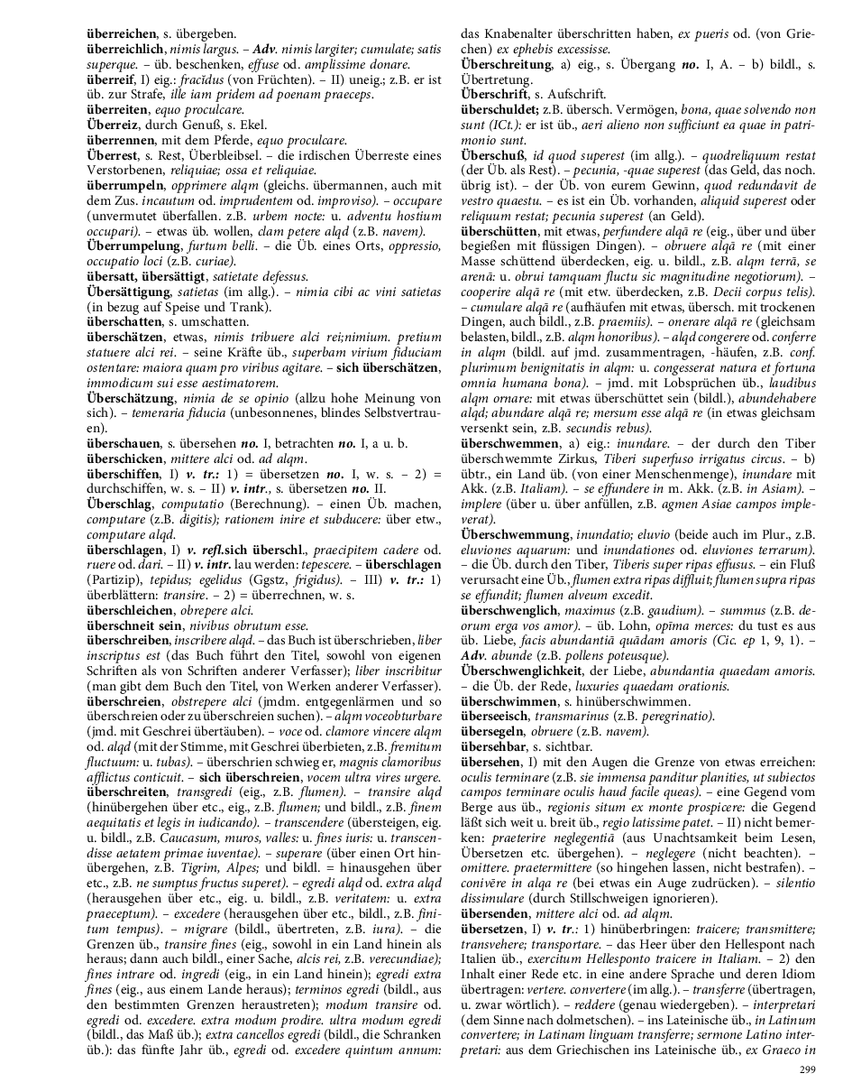 Seite 299
