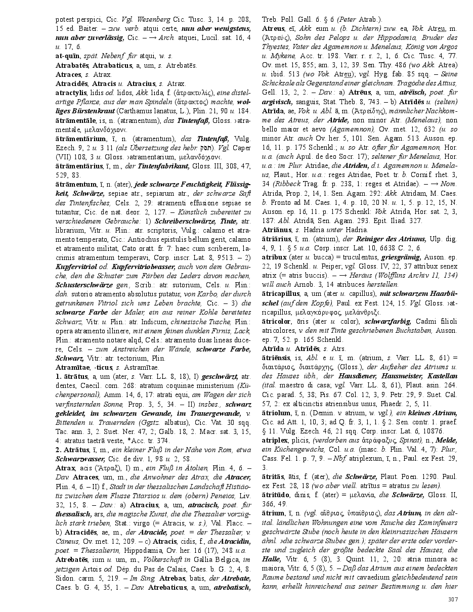 Seite 307