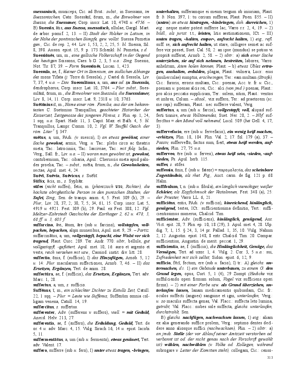 Seite 313